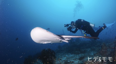 ADC2190C-5615-4CE6-B7D4-F37A9E7671D6