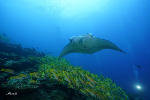 362673389_6461685047259086_344031700562186172_n