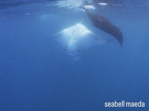 465EE724-F0E5-4ACB-B7AC-EC1F304614A9