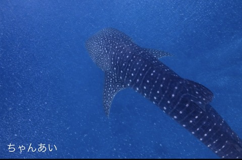 0F535E34-FBBD-4B13-9269-E540F55734F0