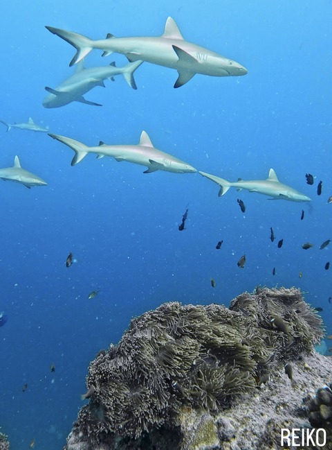 EAA1A14E-A4D9-46BE-AC37-2A2C3BFCBD09