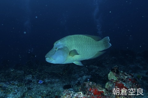 CD569580-CDE7-4D4E-9281-90D7403BD1A1