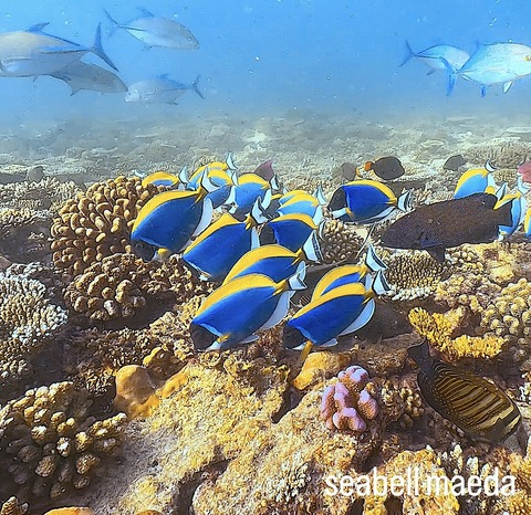 8634DB6A-9A7F-457C-9A82-216B134D58C9