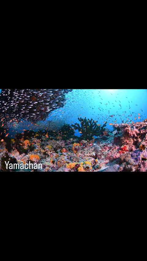 F13D3799-1944-4BD7-B9ED-39D82DD49B59