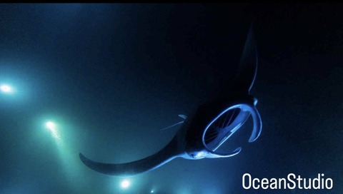 2F0F36FD-BE24-44AF-8066-998B77974E3F