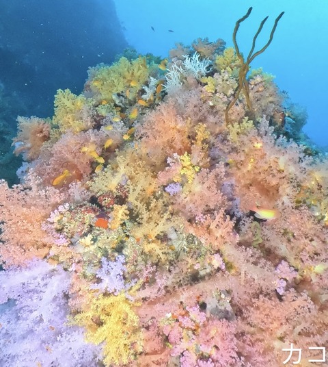 153D1721-E6C6-4DA1-B10F-E07A3DEDD9DE