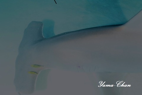 230818_075450-139810