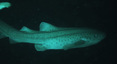 Screenshot_2014-09-26-15-27-38~2