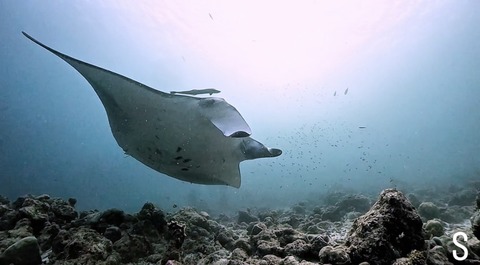 1A6EECD1-934A-4CC8-8B8A-41DB07EEAFFC