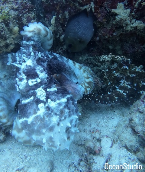 A7920210-60F1-4854-B7A7-031E116733A4