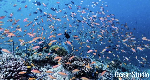 B9379143-F513-4475-B929-3593F512D11F