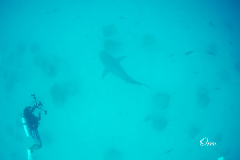 P1330998