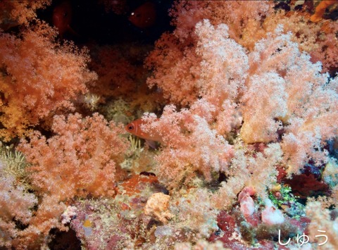 56C2D070-D6FC-4B44-84E4-530B077F7228