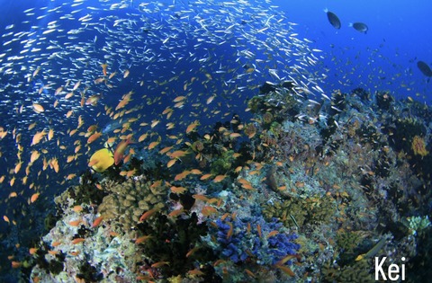 FAC51586-15F6-4D37-A2BC-CBBE5CEB057E