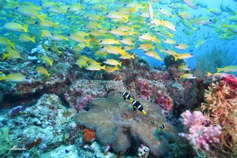 364789568_6461685563925701_8786412558200655573_n