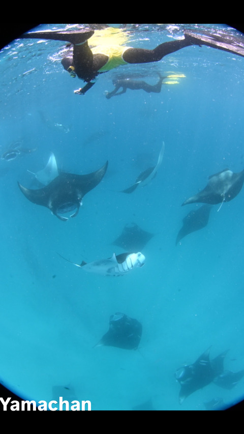 78860D76-3734-4515-BFBB-52C31F2794A4