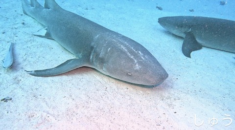 12935165-217A-4A87-82B9-5C5C232A6034