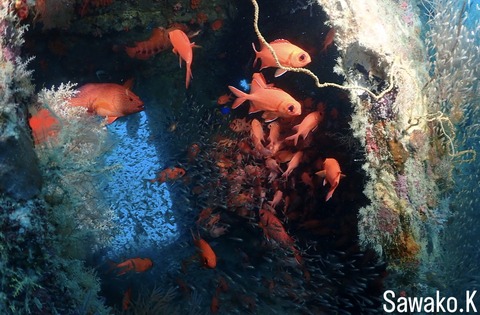 CE09F460-0FBF-477D-B411-B23A98DEEFF5