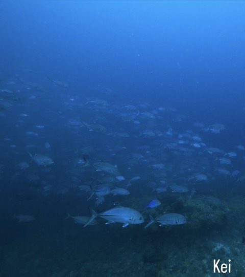 E85CDFB7-C541-48DD-9232-35AFDB5F9ADA