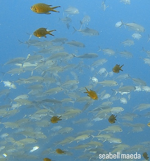 4763A712-35D6-4527-9B76-9A6C9BE49299