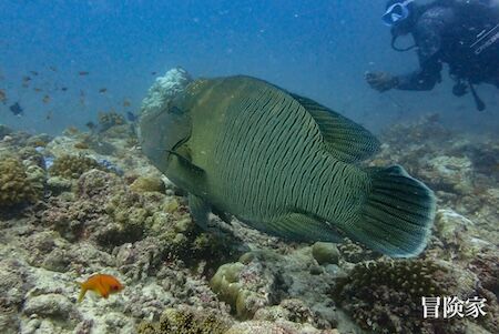 市村さんフォトコン