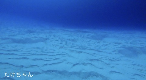 B4984D14-AA79-4FD7-BCAB-4C10EBECEFC3