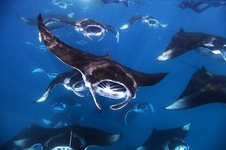 41713972_897326437122660_458061629372760064_n