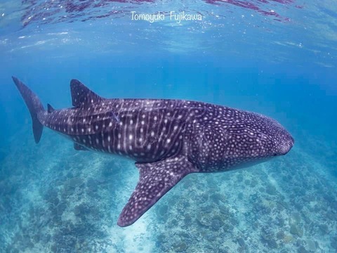 376782712_6583275198433403_8110301033132584634_n