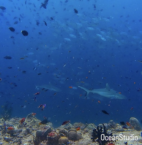 9035699D-3750-4241-BE49-C101CF87CCA0