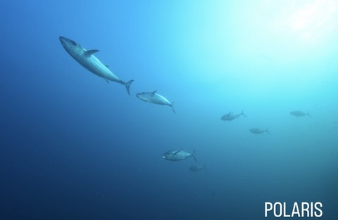 1CB593A2-1A3A-42B2-B558-E6B879B30A5B