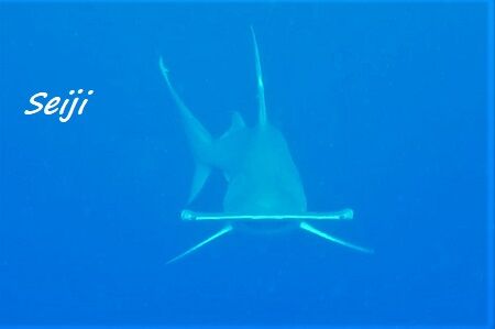 00115_Trim - frame at 0m2s (2)