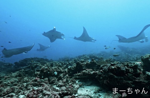 B9A831E7-7075-4314-83AD-248ABDD8CA41