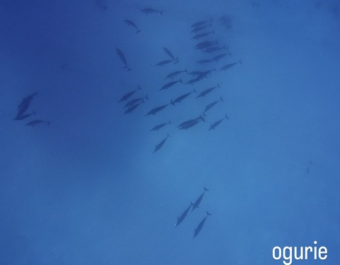 17D588D7-2E31-4DAC-8BBA-A378E986A84A