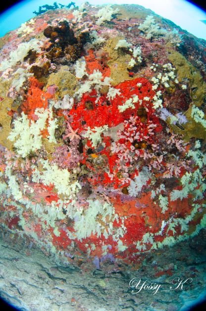 293944560_5280429532051316_7436132576406178895_n