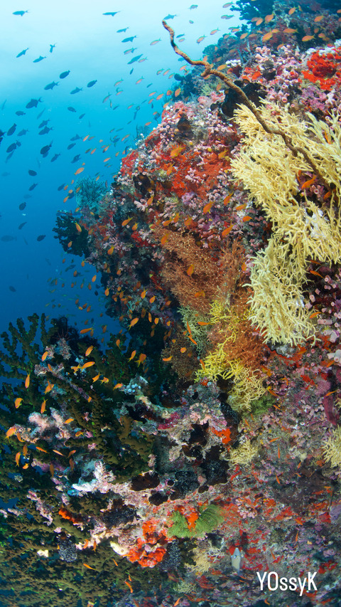 1577EC5C-151F-4DE8-A1E5-8F98B9C8C8AF