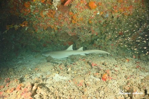 230814_064825-298668