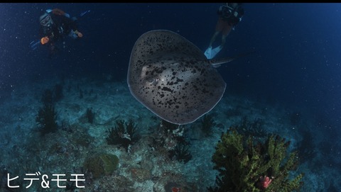 24C4AD71-EFDB-473A-B669-9E0920AEB32A