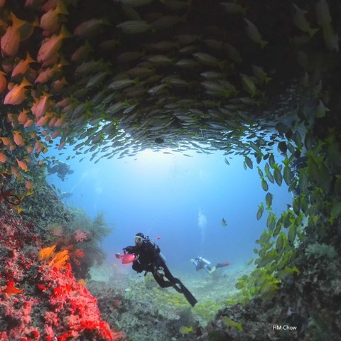 393818023_1366332400759508_927762860182948293_n