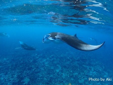 45887228_304835040242417_4383534057128984576_n