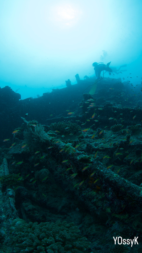 0A0DA7CF-C10E-4794-8DDE-F2844D390CAB