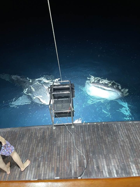 308467728_5469951483099119_3550189138542289536_n