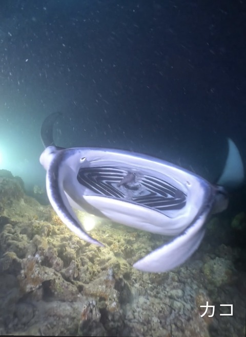 0220614E-D243-4C5A-B92C-A43A5E48D138