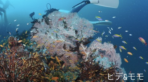 C726A5F8-480B-46FC-A6A8-CCA368A8832B