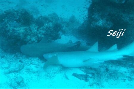 00047 - frame at 0m8s (2)