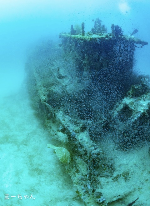 6E0F8447-8CDE-4C82-BB65-AFD16DB0B532