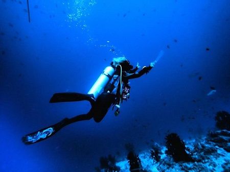 39400754_227219394621217_1385400885974138880_n