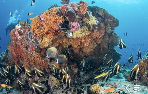 983708AC-F05B-496E-80F3-2E82D08B2268