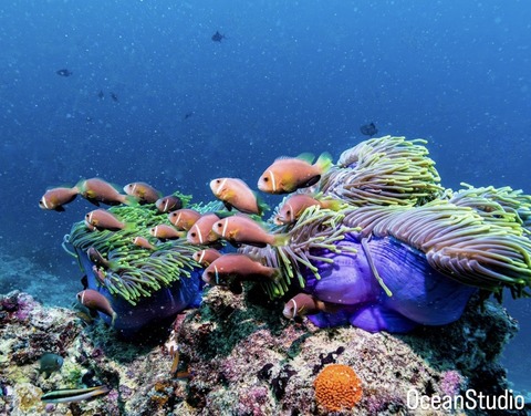 2694906C-1BAB-4F66-9EFD-11A62D74CB63