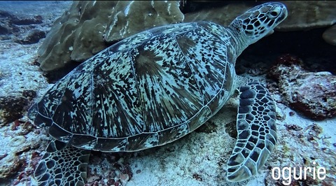 3BE8ED36-C4D5-4FFF-AB8D-DBAA0FE4CA39