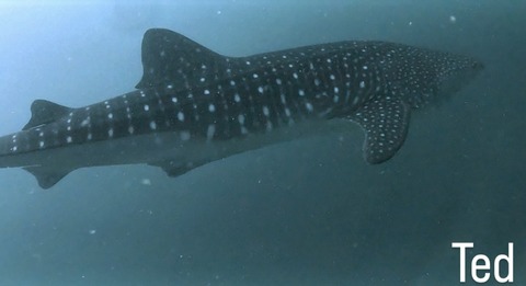 669C2509-46F2-4144-9356-80FFD1711E71